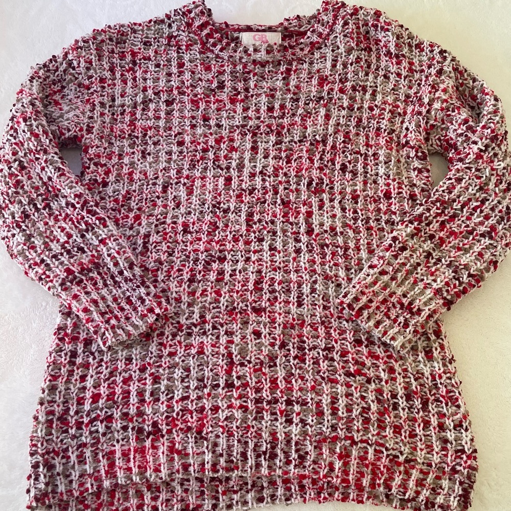 A beautiful Christmas sweater!:)